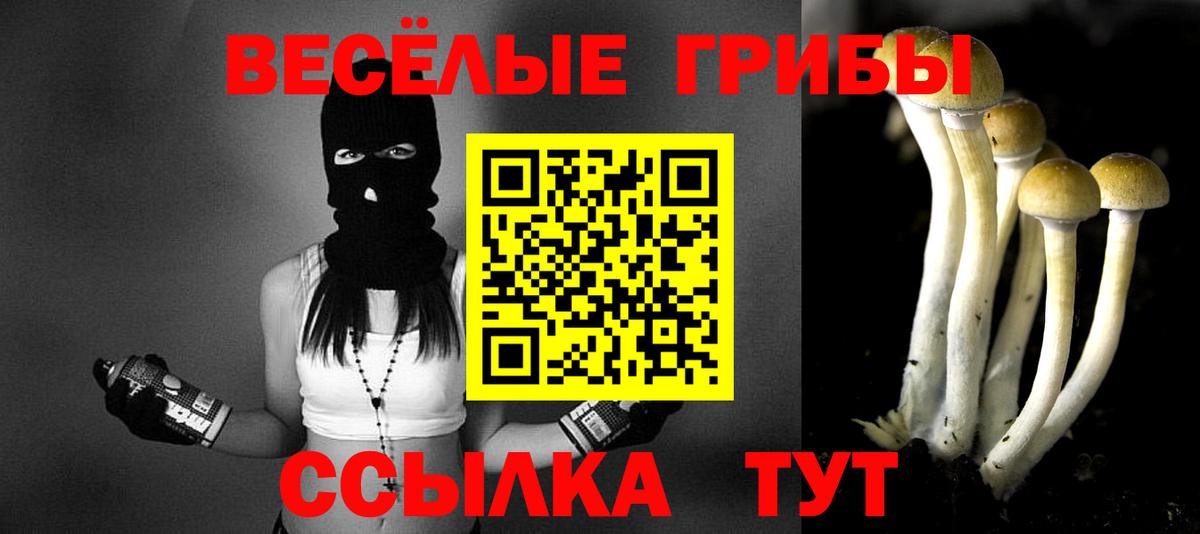 Псилоцибиновые грибы мухоморы  Вход с VPN  Ковров 
